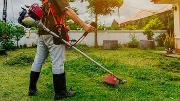 Доброго времени суток. Предоставляю услуги по кошению травы. Чисто at lalafo.kg Доброго времени суток. Предоставляю услуги по кошению травы. Чисто