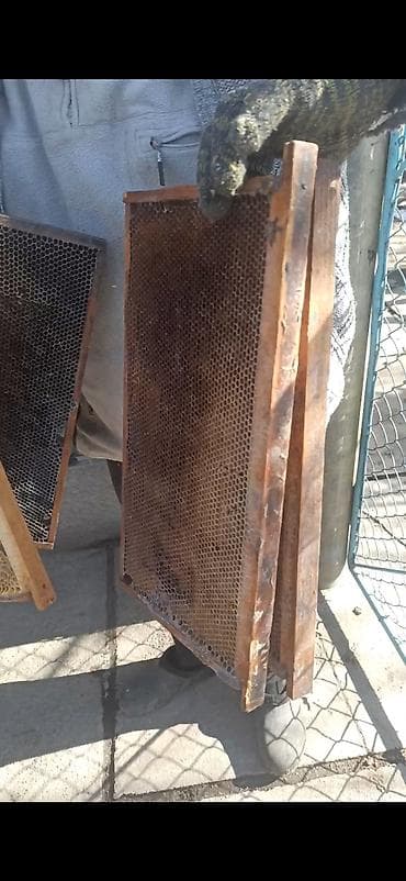 Продам суш дадан at lalafo.kg Продам суш дадан