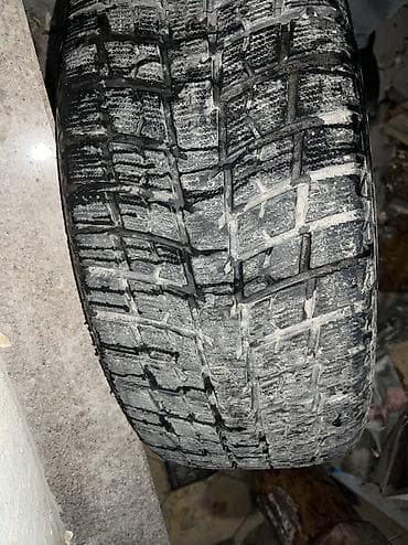 Продаю шину 1 шт зима 70-80% at lalafo.kg — 3 Продаю шину 1 шт зима 70-80% — 3