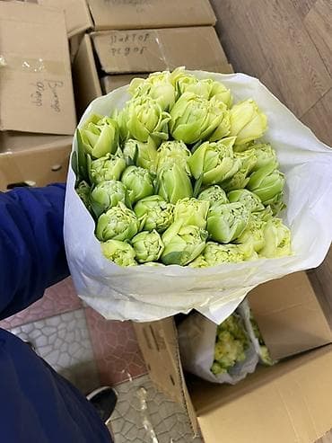 Тюльпаны срезанные — оптом в букетах Описание: - Профессиональная at lalafo.kg — 4 Тюльпаны срезанные — оптом в букетах Описание: - Профессиональная — 4