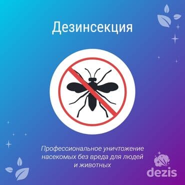 Стирка, прачечная: Дезинфекция, дезинсекция, | Клопы, Блохи, Тараканы, | Транспорт, Офисы, Квартиры at lalafo.kg — 6 Стирка, прачечная: Дезинфекция, дезинсекция, | Клопы, Блохи, Тараканы, | Транспорт, Офисы, Квартиры — 6