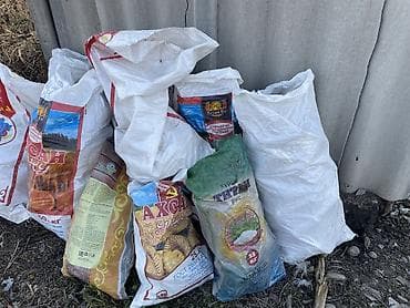 Продаю банки дешево 900 м около 300штук -+ в сокулуке за все 500 отдам at lalafo.kg Продаю банки дешево 900 м около 300штук -+ в сокулуке за все 500 отдам