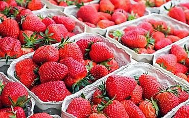 ΠΠ»ΡΠ±Π½ΠΈΠΊΠ° at lalafo.kg ΠΠ»ΡΠ±Π½ΠΈΠΊΠ°