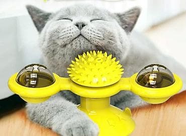 ПРОДАЮ РАЗЛИЧНЫЕ ИГРУШКИ ДЛЯ КОШЕК И СОБАК,А ТАК ЖЕ ДРУГИЕ ЗОО ТОВАРЫ at lalafo.kg — 5 ПРОДАЮ РАЗЛИЧНЫЕ ИГРУШКИ ДЛЯ КОШЕК И СОБАК,А ТАК ЖЕ ДРУГИЕ ЗОО ТОВАРЫ — 5