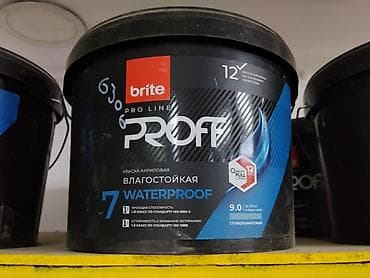 Краска акриловая brite PRO LINE PROFF Waterproof - Назначение: для at lalafo.kg Краска акриловая brite PRO LINE PROFF Waterproof - Назначение: для