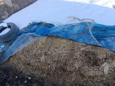 Щепа/дроблёная древесина под укрытием - Фракция: смешанная at lalafo.kg Щепа/дроблёная древесина под укрытием - Фракция: смешанная