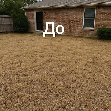 TagAZ: Искусственный газон искусственная трава декорации декор 🌞 Когда at lalafo.kg — 10 TagAZ: Искусственный газон искусственная трава декорации декор 🌞 Когда — 10