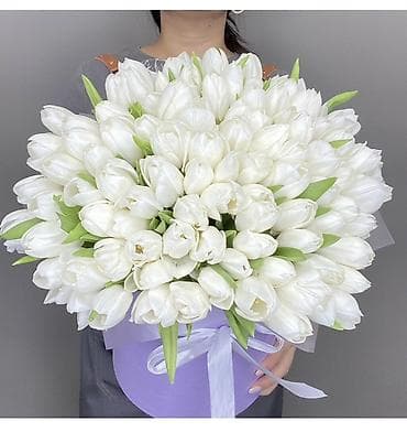 Принимаем предзаказ на 8 марта! Есть все сорта тьюлпанов Оптом и в at lalafo.kg Принимаем предзаказ на 8 марта! Есть все сорта тьюлпанов Оптом и в