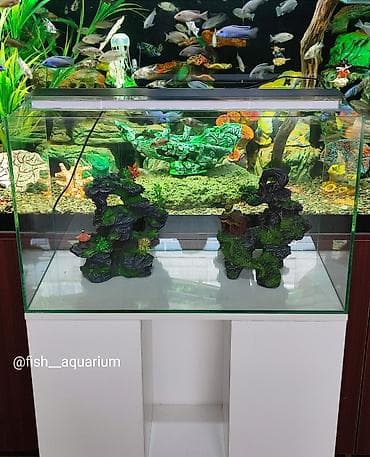 Аквариумы, тумбы на заказ. Прекрасный подарок, для длма, офиса и так at lalafo.kg Аквариумы, тумбы на заказ. Прекрасный подарок, для длма, офиса и так