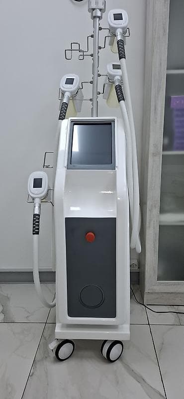 Криолиполизный аппарат для коррекции фигуры с 4 насадками at lalafo.kg Криолиполизный аппарат для коррекции фигуры с 4 насадками