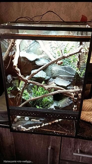 С скидкой за 3500 тыс. отдать!!!! Срочно нужны деньги!! Вертикальный at lalafo.kg С скидкой за 3500 тыс. отдать!!!! Срочно нужны деньги!! Вертикальный