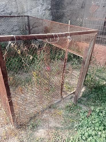 Продаю сетка сатылат сетка at lalafo.kg — 2 Продаю сетка сатылат сетка — 2