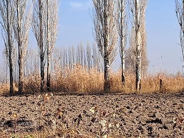 15 соток, Для строительства at lalafo.kg 15 соток, Для строительства