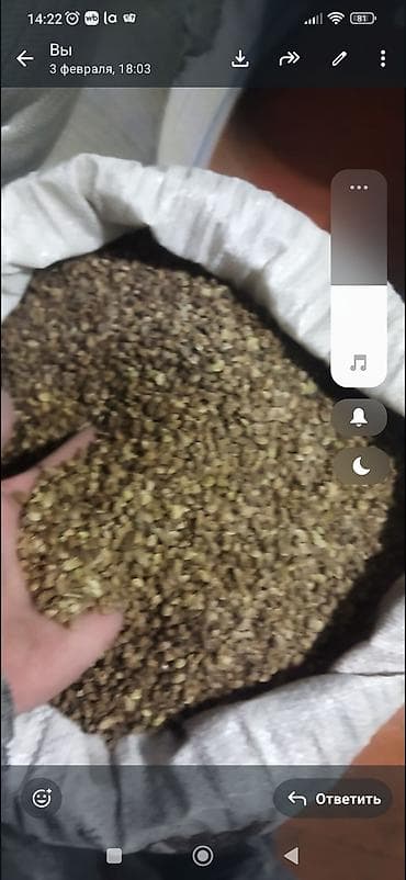 Экпарцет at lalafo.kg Экпарцет