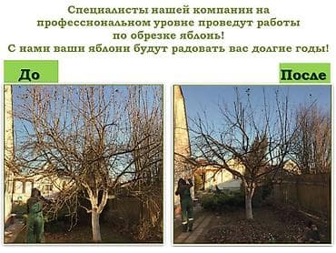 ОБРЕЗКА САДОВЫХ ДЕРЕВЬЕВ ФОРМИРОВКА ПИЛИМ ДРОВА ВОЗМОЖНО ВЫЕЗД ПО at lalafo.kg ОБРЕЗКА САДОВЫХ ДЕРЕВЬЕВ ФОРМИРОВКА ПИЛИМ ДРОВА ВОЗМОЖНО ВЫЕЗД ПО