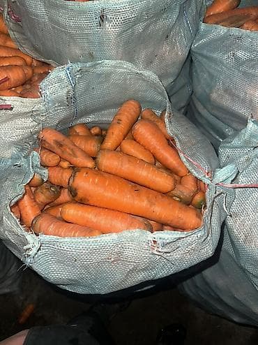 Сабиз Дүңүнөн lalafo.kg да — 4 Сабиз Дүңүнөн — 4