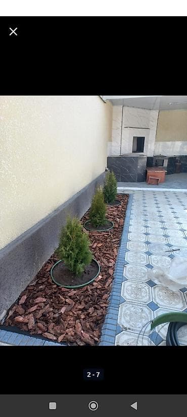 Сеем газон, Поссев газон, Газон себебиз 🌱 под ключ 🏡по городу бишкек lalafo.kg да — 5 Сеем газон, Поссев газон, Газон себебиз 🌱 под ключ 🏡по городу бишкек — 5