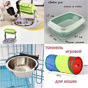 Лоток туалет для кошек. Новый. Производство Россия. 800 сом Новая at lalafo.kg Лоток туалет для кошек. Новый. Производство Россия. 800 сом Новая