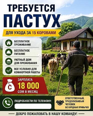 Талап кылынат Чабан, Төлөм: Ай сайын, Тамактануу lalafo.kg да Талап кылынат Чабан, Төлөм: Ай сайын, Тамактануу