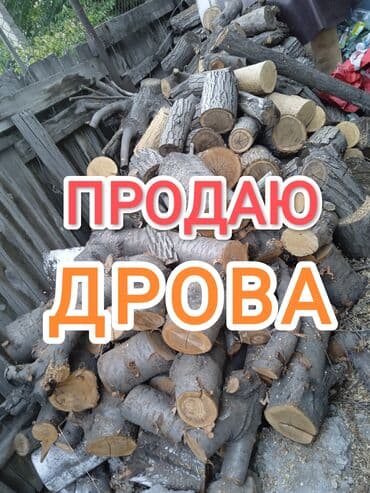 Дрова Орех, Платная доставка, Самовывоз at lalafo.kg Дрова Орех, Платная доставка, Самовывоз