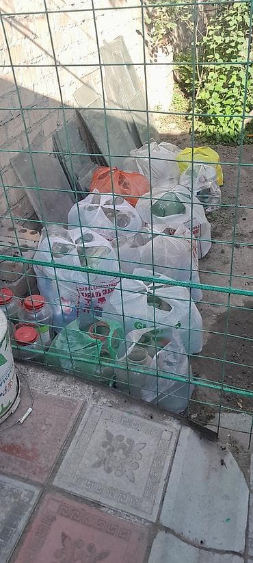 Банки, Б/у, Самовывоз at lalafo.kg Банки, Б/у, Самовывоз