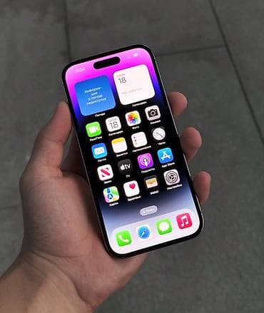 Lotus: IPhone 14 Pro, Б/у, 256 ГБ, Черный, Зарядное устройство, Чехол, Кабель, 77 % at lalafo.kg — 1 Lotus: IPhone 14 Pro, Б/у, 256 ГБ, Черный, Зарядное устройство, Чехол, Кабель, 77 % — 1