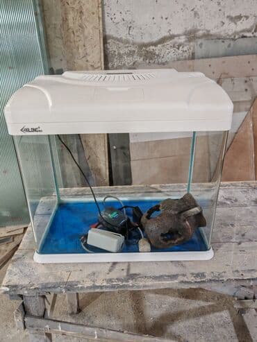 Аквариумный комплект XkLong - Стеклянный аквариум прямоугольной формы at lalafo.kg Аквариумный комплект XkLong - Стеклянный аквариум прямоугольной формы