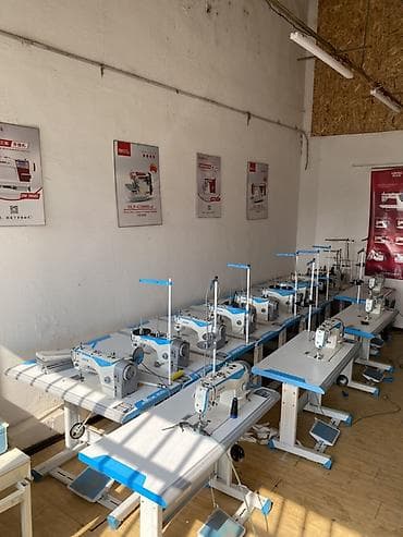 Jack, В наличии at lalafo.kg Jack, В наличии