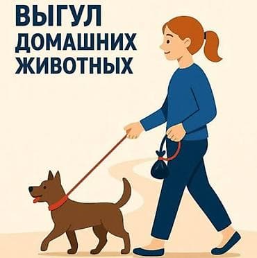 🐾 Выгул собак в Бишкеке | Забота и безопасность вашего любимца! 🐾 at lalafo.kg 🐾 Выгул собак в Бишкеке | Забота и безопасность вашего любимца! 🐾