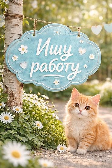 Официант. 1-2 года опыта at lalafo.kg Официант. 1-2 года опыта