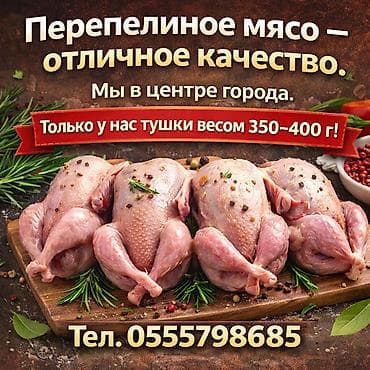 Перепёлки ( мясо ) Мы в центре города! Только у нас крупные at lalafo.kg Перепёлки ( мясо ) Мы в центре города! Только у нас крупные