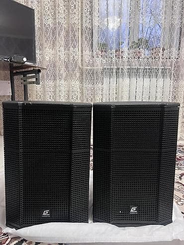 Акустический комплект для мероприятий 350 Вт: пара пассивных lalafo.kg да — 1 Акустический комплект для мероприятий 350 Вт: пара пассивных — 1