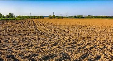 5 соток, Для сельского хозяйства at lalafo.kg 5 соток, Для сельского хозяйства