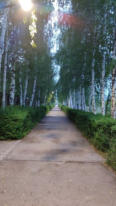 Квартира, К ЦО Кыргызское взморье, Бостери, Детская площадка, Охраняемая территория, Бассейн at lalafo.kg — 8 Квартира, К ЦО Кыргызское взморье, Бостери, Детская площадка, Охраняемая территория, Бассейн — 8