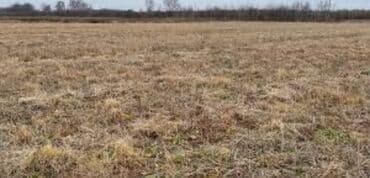 2000 соток at lalafo.kg 2000 соток