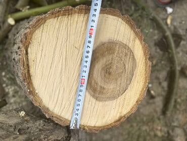 Орех дерево на поделки, изделия, декор. Свежесрубленные древесные at lalafo.kg Орех дерево на поделки, изделия, декор. Свежесрубленные древесные