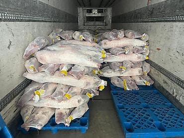 Баранина оптом в замороженном виде со всеми соответсвующими at lalafo.kg Баранина оптом в замороженном виде со всеми соответсвующими