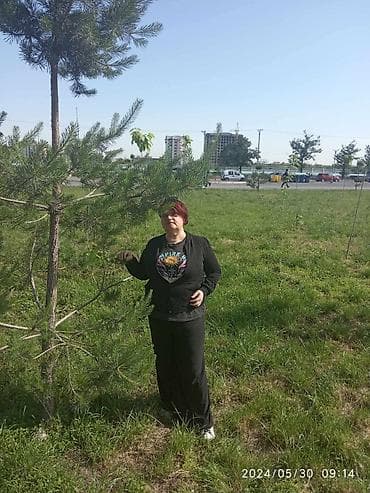 Ищу работу сиделки няня в районе Политеха,Джал большой опыт работы с at lalafo.kg Ищу работу сиделки няня в районе Политеха,Джал большой опыт работы с