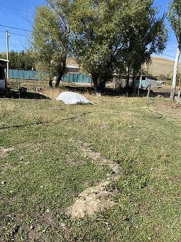 20 соток, Для строительства, Красная книга at lalafo.kg — 8 20 соток, Для строительства, Красная книга — 8