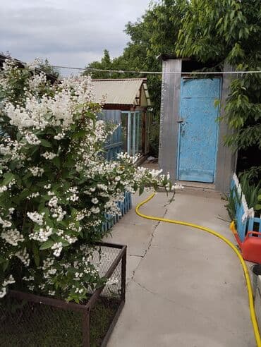 дом пакровка: Дом, 70 м², 4 комнаты, Собственник at lalafo.kg — 27 дом пакровка: Дом, 70 м², 4 комнаты, Собственник — 27