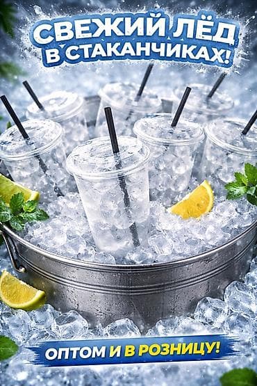 Свежий лёд в стаканчиках - Порционный лёд в прозрачных пластиковых at lalafo.kg Свежий лёд в стаканчиках - Порционный лёд в прозрачных пластиковых