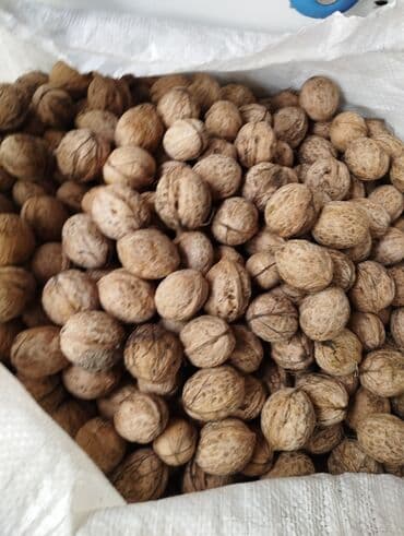 Продаю орехи этого года со своего сада at lalafo.kg Продаю орехи этого года со своего сада