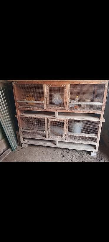 Двухяростный брудер клетка сатылат, абалы жакшы. адресс Бишкек at lalafo.kg Двухяростный брудер клетка сатылат, абалы жакшы. адресс Бишкек