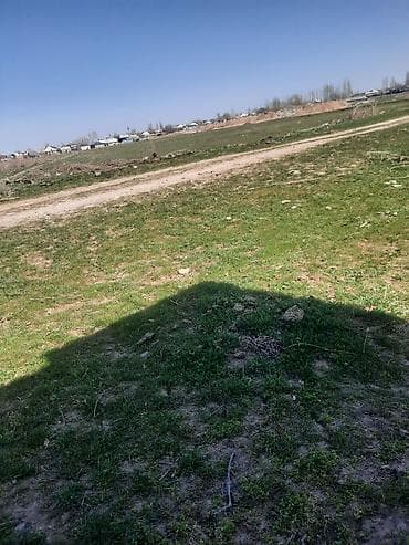 Требуется Скотник at lalafo.kg Требуется Скотник