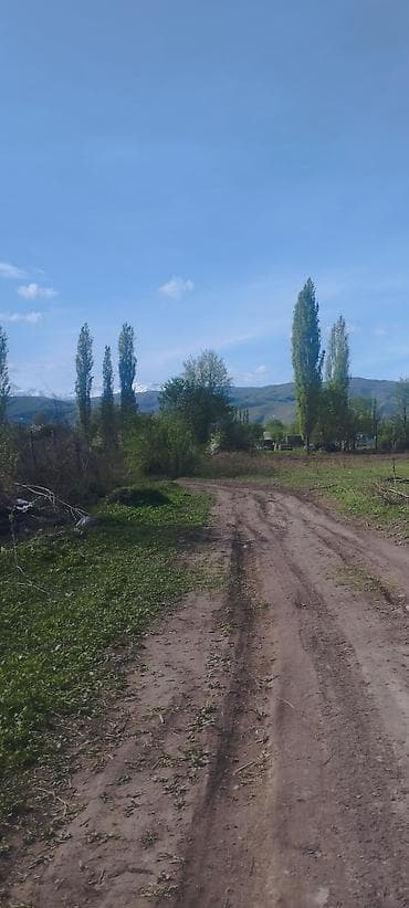 504 соток, Для строительства, Красная книга at lalafo.kg 504 соток, Для строительства, Красная книга