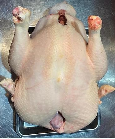 Цельная потрошёная домашняя тушка индейки. 100% Халал . Выращенные без lalafo.kg да — 1 Цельная потрошёная домашняя тушка индейки. 100% Халал . Выращенные без — 1