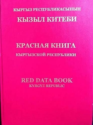 Продается земля село Лесное, Сокулукский район. 16 сотых at lalafo.kg Продается земля село Лесное, Сокулукский район. 16 сотых