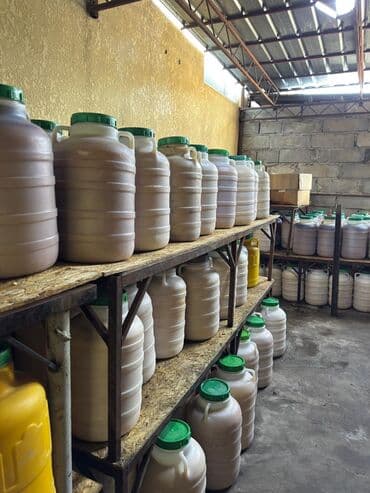 Токтогулдун тоо балы тонгон Мёд горный кристаллизованный токтогульский at lalafo.kg Токтогулдун тоо балы тонгон Мёд горный кристаллизованный токтогульский