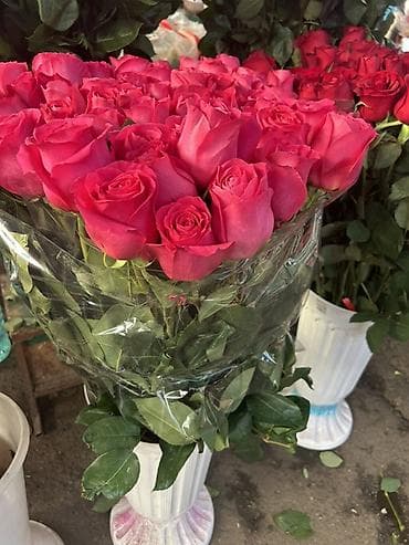 Организация мероприятий | Гелевые шары, Букеты, флористика, Ведущий, тамада at lalafo.kg Организация мероприятий | Гелевые шары, Букеты, флористика, Ведущий, тамада