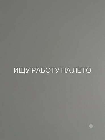 Помощник. Без опыта at lalafo.kg Помощник. Без опыта